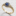 Posh Carats London